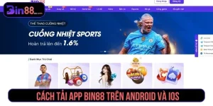 tải app Bin88